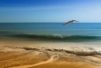 morze, plaża