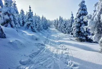 śnieg w górach 