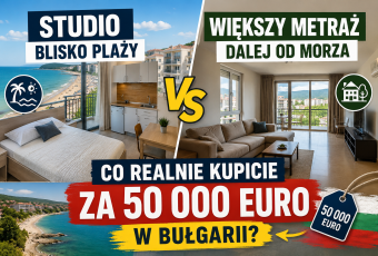 mieszkanie czy studio
