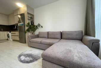 widok na salon i aneks kuchenny