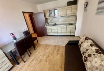 widok na salon i aneks kuchenny