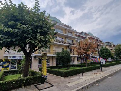 widok na busynek kompleksu