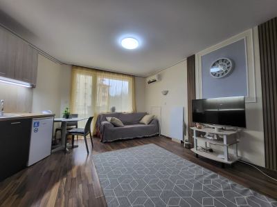 Duże studio w Amadeus 19