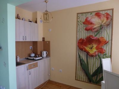 widok na kuchnie 