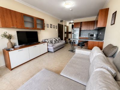 widok na salon i aneks kuchenny