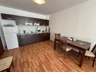 widok na salon i kuchnie 