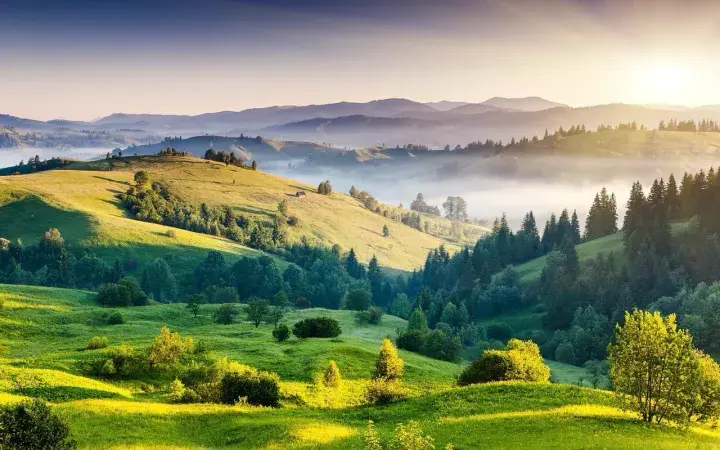 красивая природа