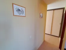 Miniaturka