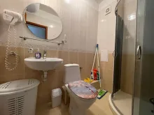 Miniaturka