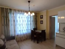 Miniaturka