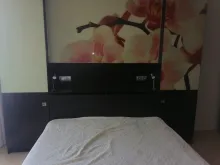 Miniaturka