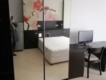 Miniaturka
