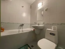 Miniaturka