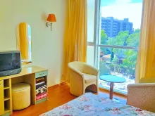 Miniaturka