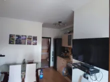 Miniaturka