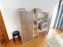 Miniaturka