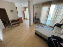 Miniaturka