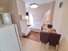 Miniaturka