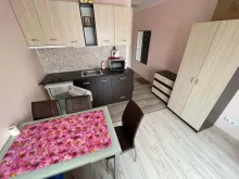 Miniaturka