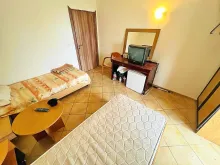 Miniaturka