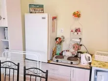 Miniaturka