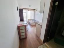 Miniaturka