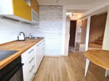 Miniaturka