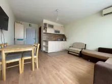 Miniaturka