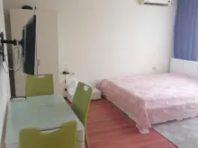 Miniaturka