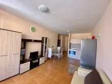 Miniaturka