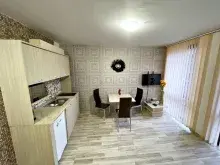 Miniaturka