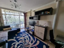 Miniaturka