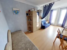 Miniaturka