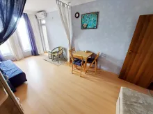 Miniaturka
