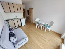 Miniaturka