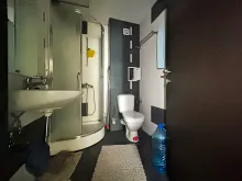 Miniaturka
