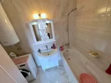 Miniaturka