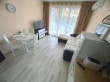 Miniaturka
