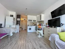 Miniaturka