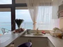 Miniaturka