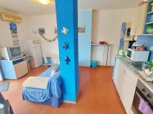 Miniaturka