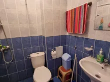 Miniaturka