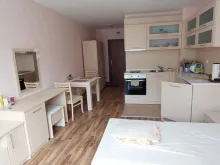 Miniaturka