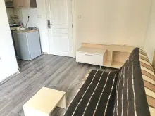 Miniaturka