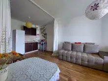 Miniaturka