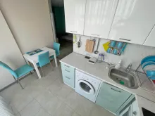 Miniaturka