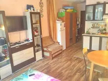 Miniaturka