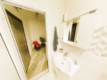 Miniaturka