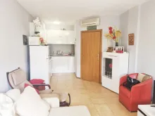 Miniaturka