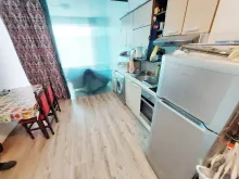 Miniaturka